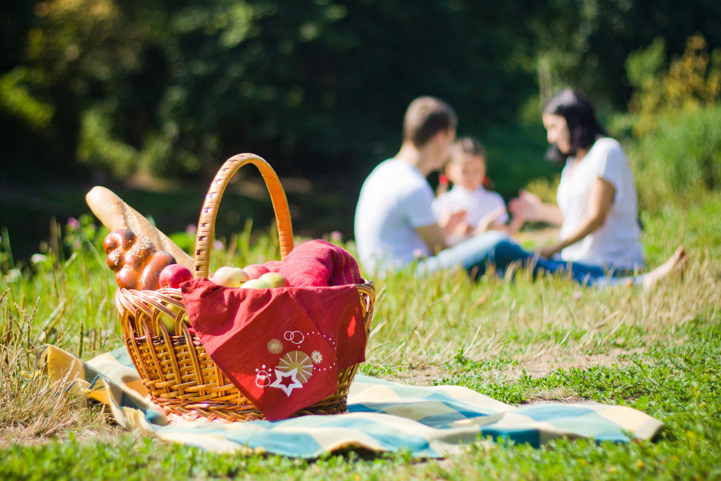 picnic concept